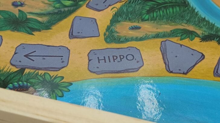 Hippo space